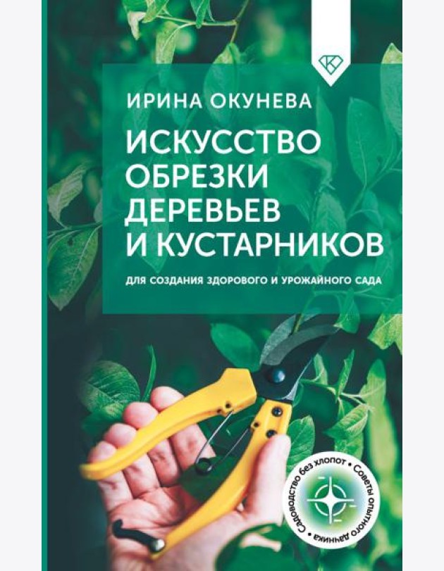 Искусство обрезки деревьев и кустарников для создания здорового и урожайного сада