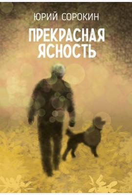 Прекрасная ясность