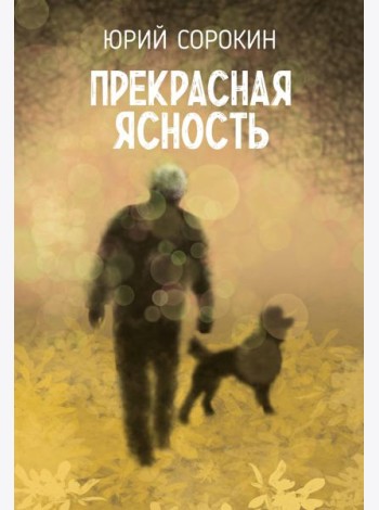 Прекрасная ясность