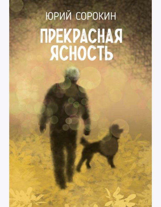 Прекрасная ясность