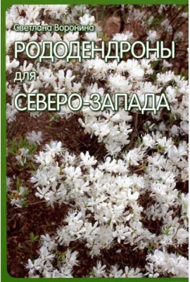 Рододендроны для Северо-Запада
