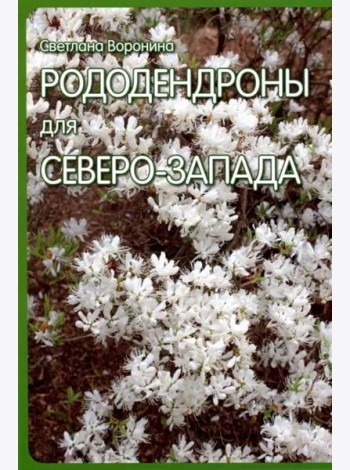 Рододендроны для Северо-Запада