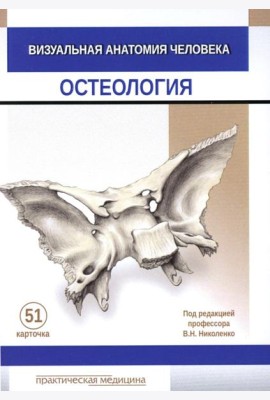 Визуальная анатомия человека. Остеология (карточки 51 шт.)