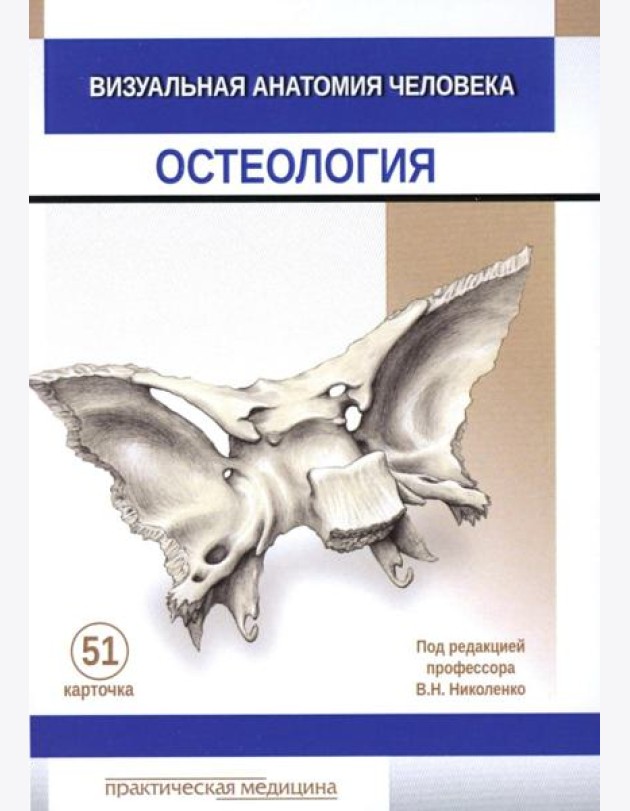 Визуальная анатомия человека. Остеология (карточки 51 шт.)