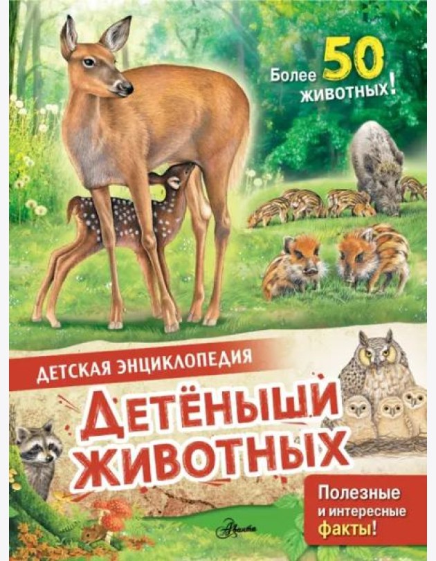 Детеныши животных