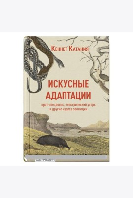Искусные адаптации. Крот-звездонос, электрический угорь и другие чудеса эволюции