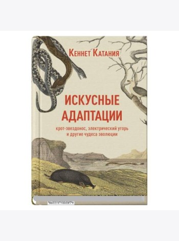 Искусные адаптации. Крот-звездонос, электрический угорь и другие чудеса эволюции