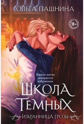 Школа темных. Избранница грозы (клатчбук)