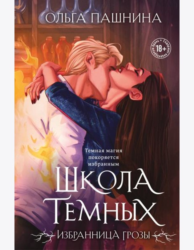 Школа темных. Избранница грозы (клатчбук)