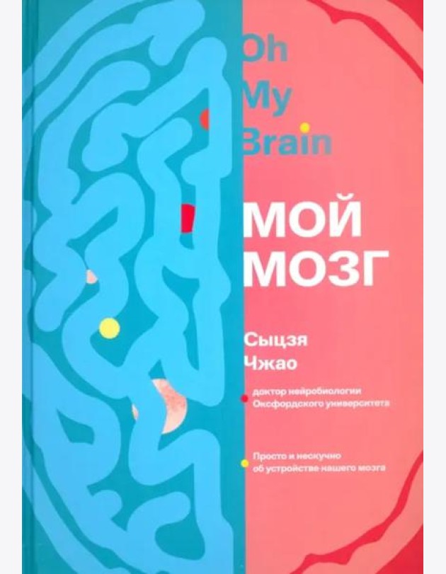 Мой мозг