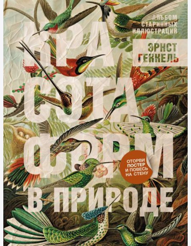 Красота форм в природе. Альбом старинных иллюстраций
