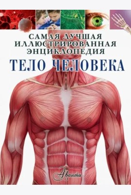 Тело человека