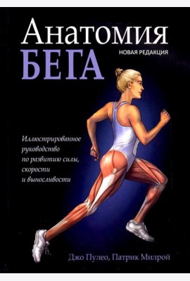 Анатомия бега