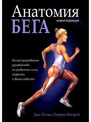 Анатомия бега