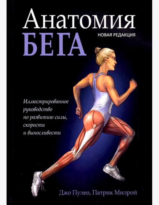 Анатомия бега