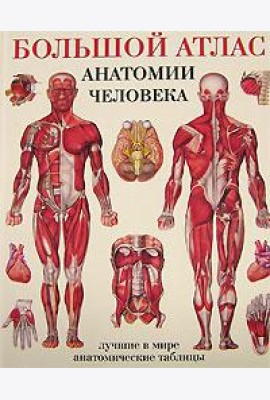 Большой атлас анатомии человека. Лучшие в мире анатомические таблицы