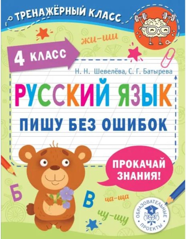 Русский язык. 4 класс. Пишу без ошибок