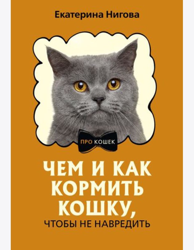 Чем и как кормить кошку, чтобы не навредить