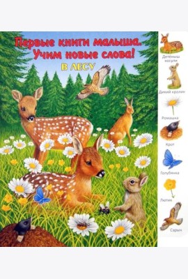 В лесу. Виммельбух