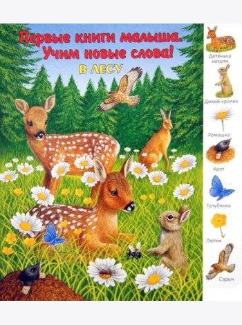 В лесу. Виммельбух