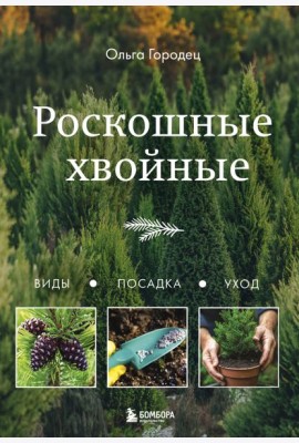 Роскошные хвойные. Виды, посадка, уход