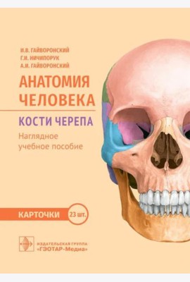 Анатомия человека. Кости черепа. Карточки + кольцо для стяжки карточек: наглядное учебное пособие