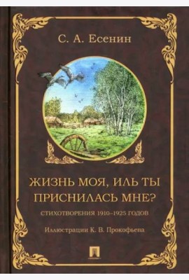 Жизнь моя, иль ты приснилась мне? Стихотворения 1910–1925 годов
