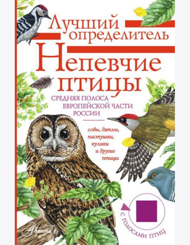 Непевчие птицы. Средняя полоса европейской части России. Определитель с голосами птиц