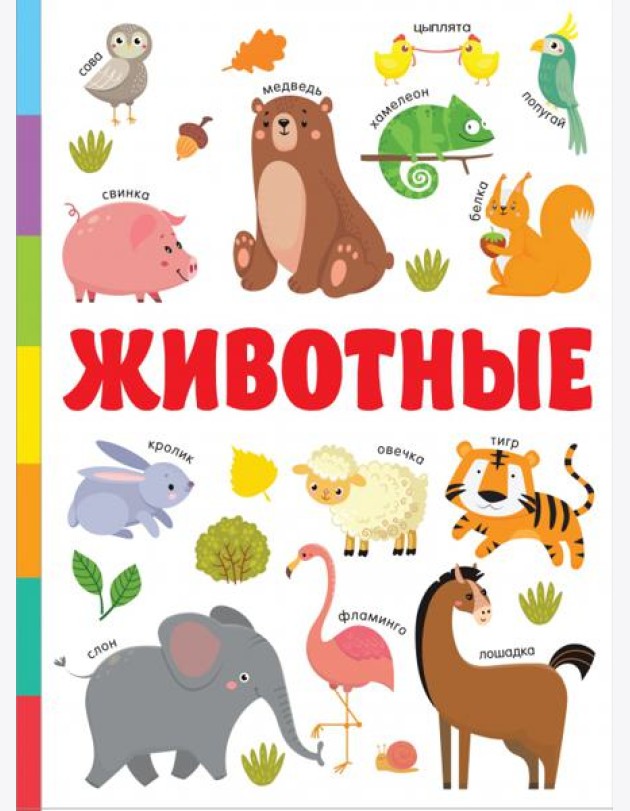 Животные