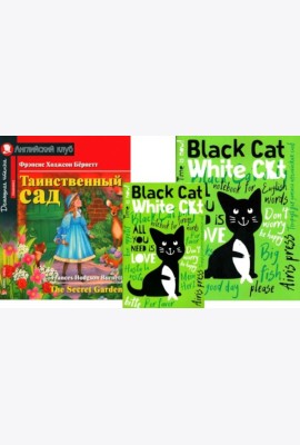 Таинственный сад + Тетради для записи английских слов. (комплект из книги + 2 тетради). Книги на англ.языке