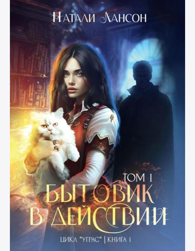 Бытовик в действии. Т. 1. Лансон Н.