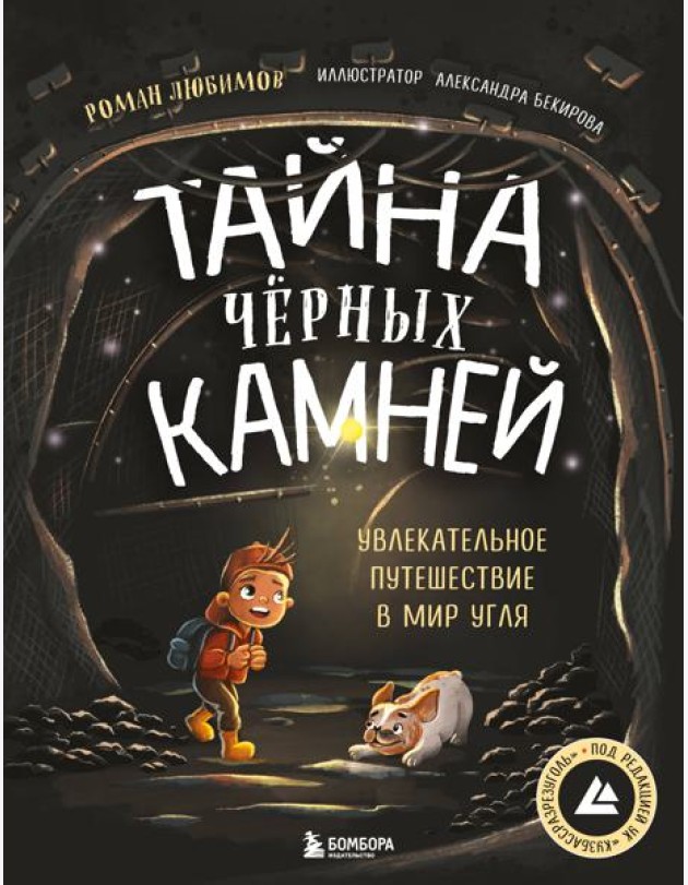 Тайна чёрных камней. Увлекательное путешествие в мир угля
