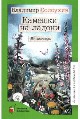 Камешки на ладони: миниатюры