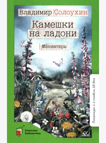 Камешки на ладони: миниатюры