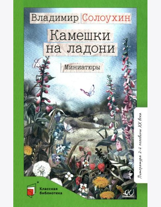 Камешки на ладони: миниатюры