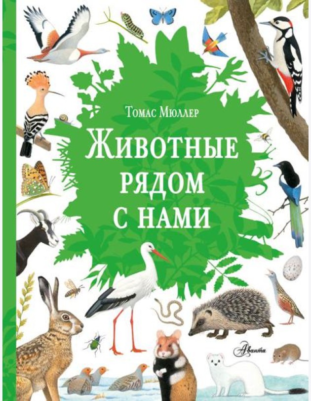Животные рядом с нами