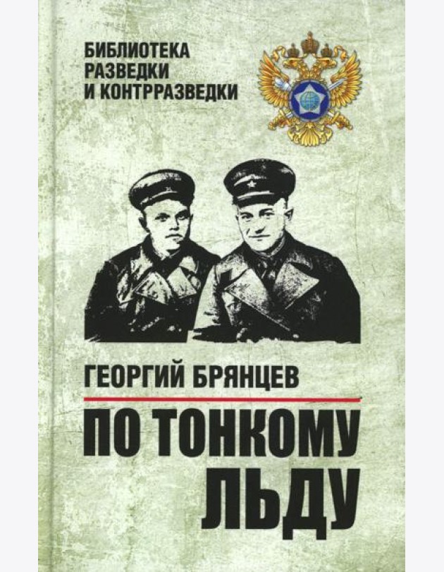 По тонкому льду: роман
