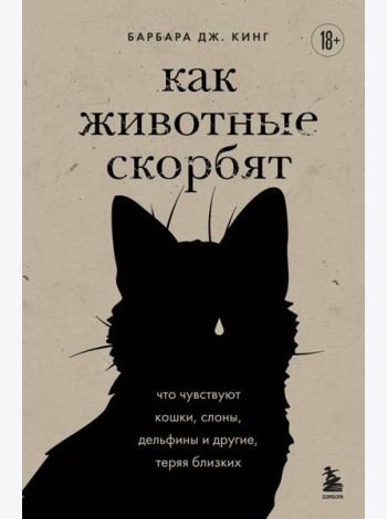 Как животные скорбят. Что чувствуют кошки, слоны, дельфины и другие, теряя близких