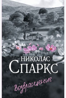 Возвращение: роман