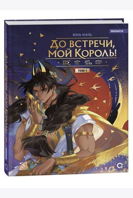 Вэнь Юань. До встречи, мой король. Том 1