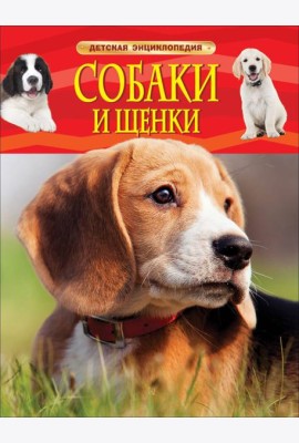 Собаки и щенки
