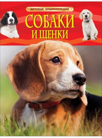 Собаки и щенки