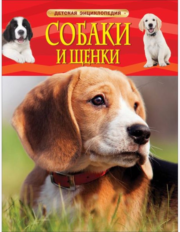 Собаки и щенки