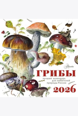Грибы. Календарь на 2026 год