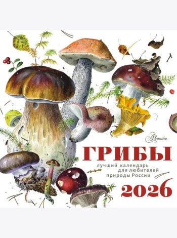 Грибы. Календарь на 2026 год