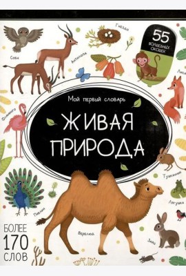 Мой первый словарь. Живая природа.