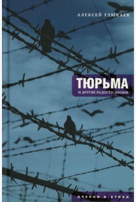 Тюрьма и другие радости жизни: очерки и стихи