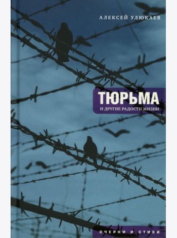 Тюрьма и другие радости жизни: очерки и стихи