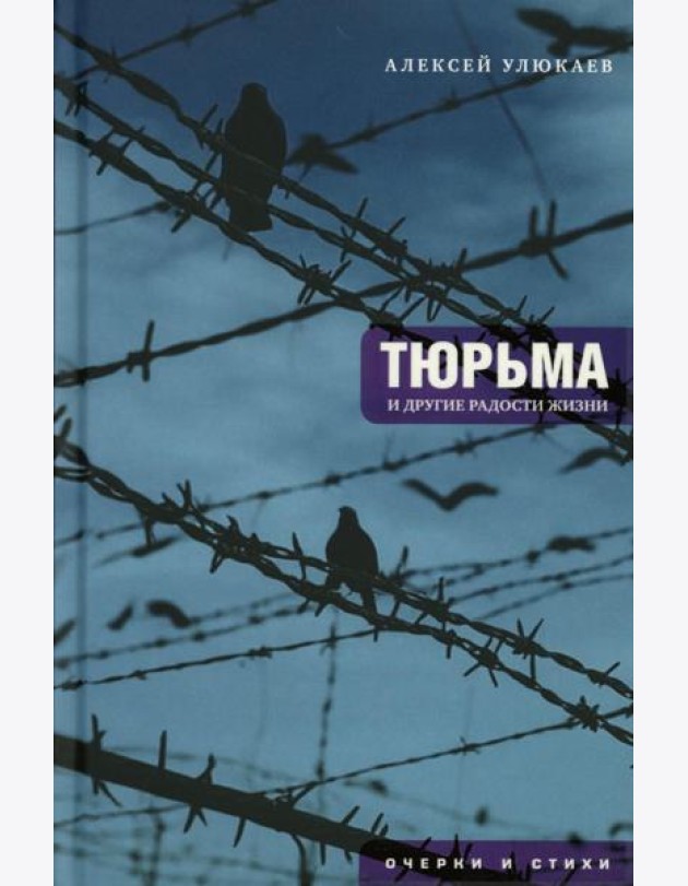 Тюрьма и другие радости жизни: очерки и стихи