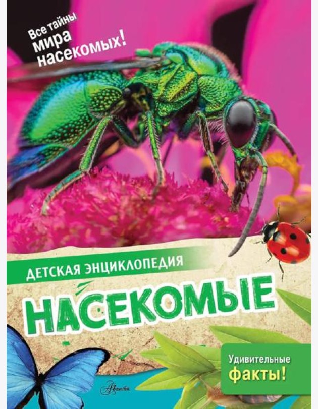 Насекомые